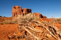 Red Rock Desert In Monument Valley Utah