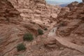 Red Rock Desert valley landscape Bedouin habitat and donkey Royalty Free Stock Photo