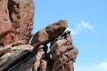 Red rock formation Royalty Free Stock Photo