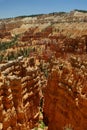 Red rock formation in bryce canyon park, utah Royalty Free Stock Photo