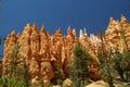 Red rock formation in bryce canyon park, utah Royalty Free Stock Photo