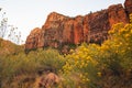 Red rock formation, Zion National Park at sunset Royalty Free Stock Photo