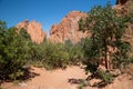 Red rock formations in Garden of the Gods park, located in Colorado Springs, CO Royalty Free Stock Photo