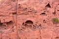 Red rock holes detail texture in Menorca Balearics