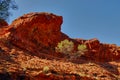 Red Rock Overhang And Extreme Terrain In The Australian Outback Royalty Free Stock Photo