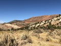 Red rock rock and limestone hills hills with pine tress, brush under brilliant blue skies. Cedar City, Southern Utah Royalty Free Stock Photo