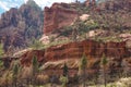 Red rock sedona landscape