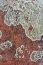 Red rock stone background texture pattern Royalty Free Stock Photo