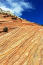 Red rock textures, Zion National Park, Utah Royalty Free Stock Photo