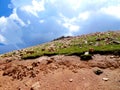 Red Rock valley with blue sky Royalty Free Stock Photo