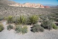 Red Rock Valley Royalty Free Stock Photo