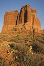 Red rock wall