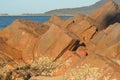 Red rocks at a beach, covered in small shells. Royalty Free Stock Photo