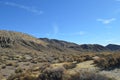 Red Rocks Canyon Yellow Gold Grass California Royalty Free Stock Photo