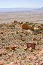 Red rocks desert Royalty Free Stock Photo