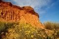 Red rocks and flowers on the Praia da Falesia - Falesia beach in Algarve, Portugal Royalty Free Stock Photo