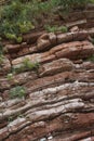 Red rocks with growing plants close-up, vertical Royalty Free Stock Photo