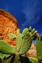 Red rocks on the Praia da Falesia - Falesia beach in Algarve, Portugal Royalty Free Stock Photo