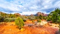 The red rocks and red Soil of Munds Mountain Wilderness viewed from the Little Horse Trail Head at the town of Sedona, Arizona Royalty Free Stock Photo