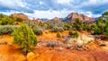 The red rocks and red Soil of Munds Mountain Wilderness viewed from the Little Horse Trail Head at the town of Sedona, Arizona Royalty Free Stock Photo