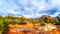 The red rocks and red Soil of Munds Mountain Wilderness viewed from the Little Horse Trail Head at the town of Sedona, Arizona Royalty Free Stock Photo