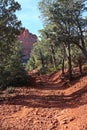 The red rocky, dirt path lined with evergreen trees and shrubs on the Brins Mesa Trail leading to a red rock formation in Arizona Royalty Free Stock Photo