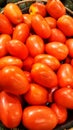 Red Roma Tomatoes