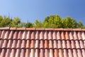 Red roof tile pattern over blue sky. Royalty Free Stock Photo