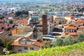 The red roofs of the inhabited houses, the church and the bell tower of the pietrasanta cathedral seen from the green of a hill at