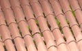 Red rooftiles with plants and moss growing in between them Royalty Free Stock Photo