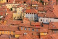 Red rooftops Royalty Free Stock Photo