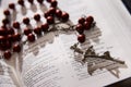 Red rosary and holy bible Royalty Free Stock Photo