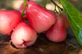 Red rose apple that is cleaned with water and has water droplets, place on the wood table Royalty Free Stock Photo