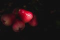 Red rose apple that is cleaned with water and has water droplets, place on the wood table. still light Royalty Free Stock Photo