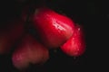 Red rose apple that is cleaned with water and has water droplets, place on the wood table. still light Royalty Free Stock Photo