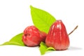 Red rose apple