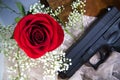 Red Rose and Babys Breath with a Gun Royalty Free Stock Photo