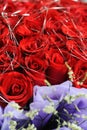 Red rose background Royalty Free Stock Photo