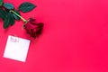 Red rose on red background with copyspace and sticker with a paper clip and heart, a reminder on a note sheet. A gift for a woman Royalty Free Stock Photo