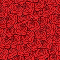 Red rose background