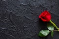 Red rose on a black background, stone. A condolence card. Empty space for emotional, quotes or sayings. The view from the top