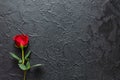 Red rose on a black background, stone. A condolence card. Empty space for emotional, quotes or sayings. The view from the top