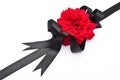 Red rose with black ribbon