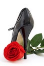 Red rose and a black shoe