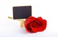 Red rose and the black sticker for the text on a white background Royalty Free Stock Photo