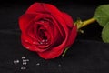 Red Rose on Black Velvet with Water Droplets Royalty Free Stock Photo