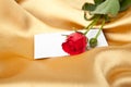 Red rose and blank card on golden satin Royalty Free Stock Photo