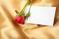 Red rose and blank card on golden satin Royalty Free Stock Photo