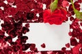 Red rose and blank invitation card Royalty Free Stock Photo