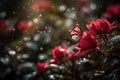 Red rose blooming in enchanted garden. Butterflies take flight., generative IA Royalty Free Stock Photo